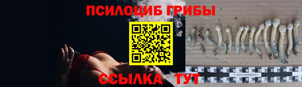Псилоцибиновые грибы ЛСД  Псилоцибиновые грибы мухоморы  Вход с VPN  Гай 